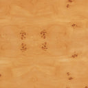 Natural Poplar Burl