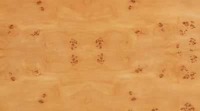 Natural Poplar Burl