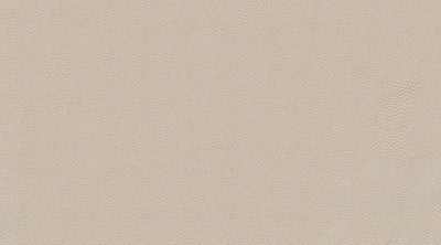 Light Gray PU Leather